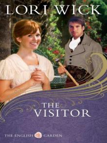      The Visitor