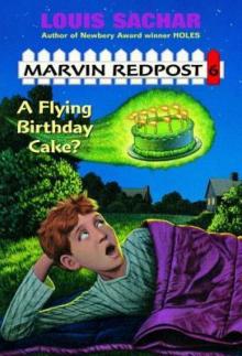      A Flying Birthday Cake?