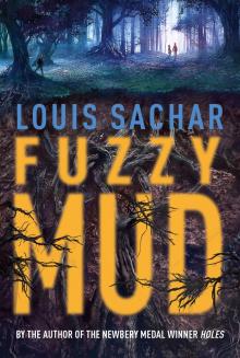      Fuzzy Mud
