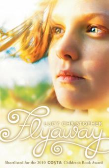      Flyaway