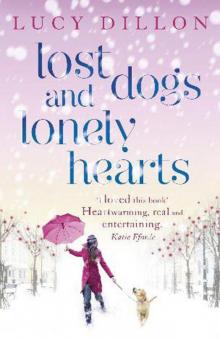      Lost Dogs and Lonely Hearts