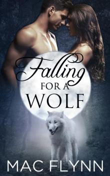      Falling for a Wolf Box Set