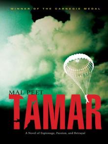      Tamar
