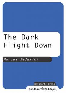      The Dark Flight Down