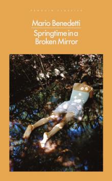      Springtime in a Broken Mirror