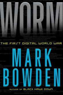      Worm: The First Digital World War