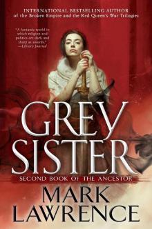     Grey Sister