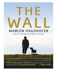      The Wall