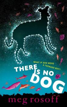      There Is No Dog