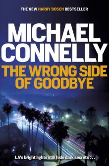      The Wrong Side of Goodbye