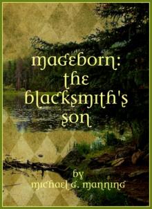      The Blacksmith's Son