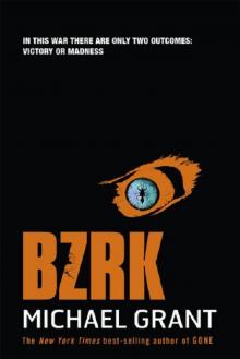      Bzrk