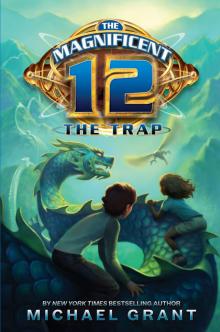      The Trap