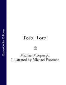      Toro! Toro!
