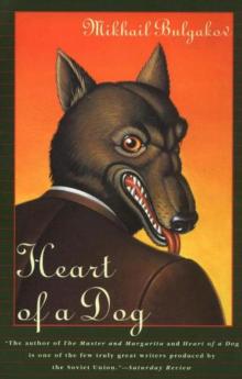      A Dog's Heart