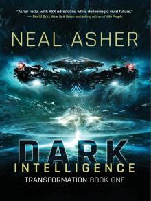      Dark Intelligence