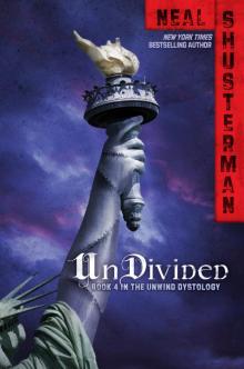      UnDivided