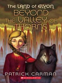      Beyond the Valley of Thorns