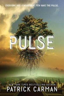      Pulse