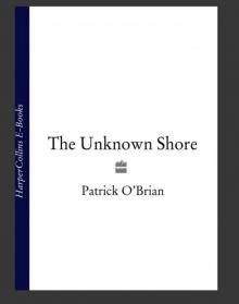      The Unknown Shore