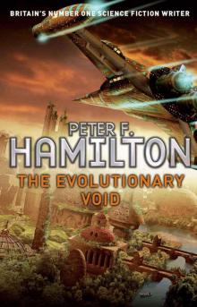      The Evolutionary Void