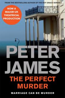      The Perfect Murder