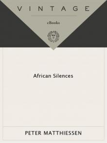      African Silences