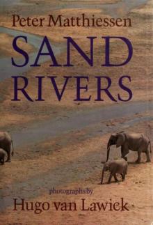      Sand Rivers