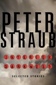      Interior Darkness: Selected Stories