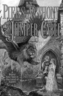      Jumper Cable
