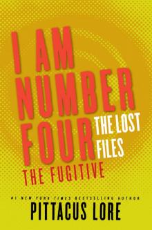      The Fugitive