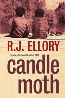      Candlemoth