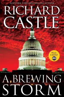      A Brewing Storm