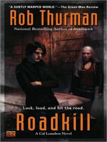      Roadkill