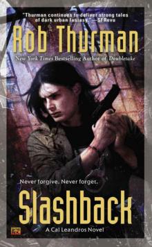      Slashback