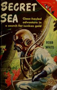      Secret sea;