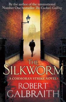      The Silkworm