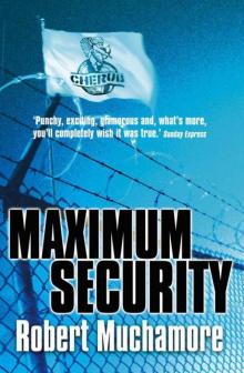      Maximum Security