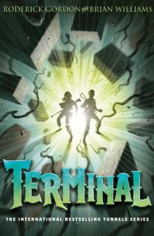      Terminal