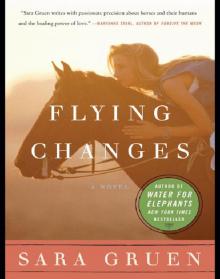      Flying Changes