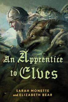      An Apprentice to Elves