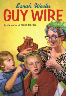      Guy Wire