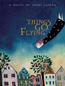      Things Go Flying