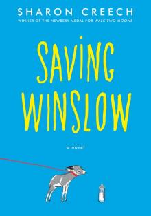      Saving Winslow