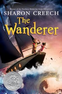      The Wanderer