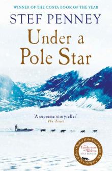      Under a Pole Star