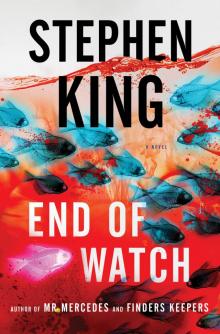     End of Watch