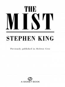      The Mist