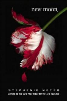      New Moon