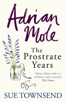      Adrian Mole: The Prostrate Years